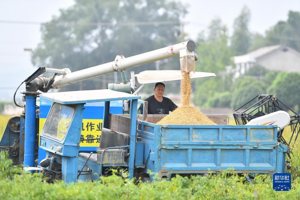 威尼斯游戏玩法